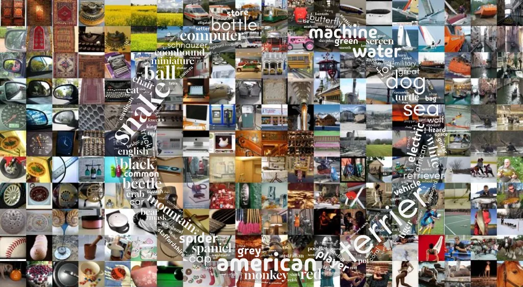 Random selection of ImageNet samples