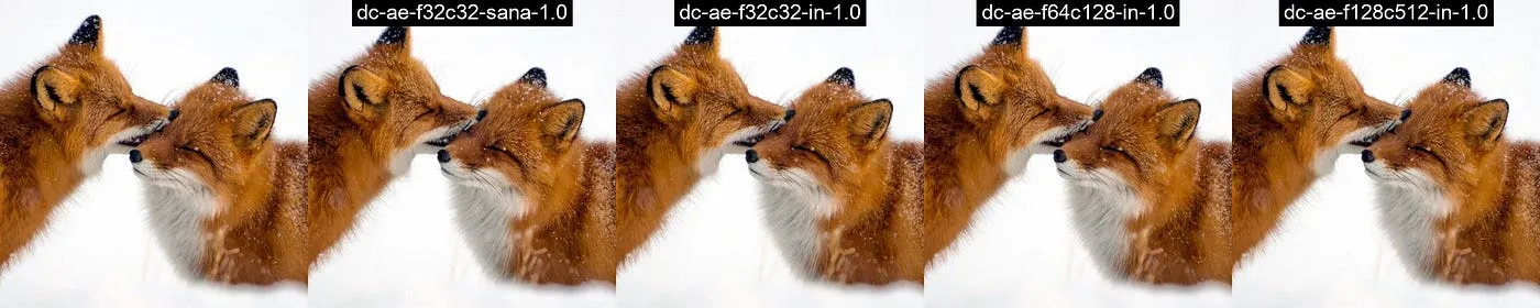 Input image on the very left, remaining images are the results of encoding and decoding the input image with one of the DC-AE variants.