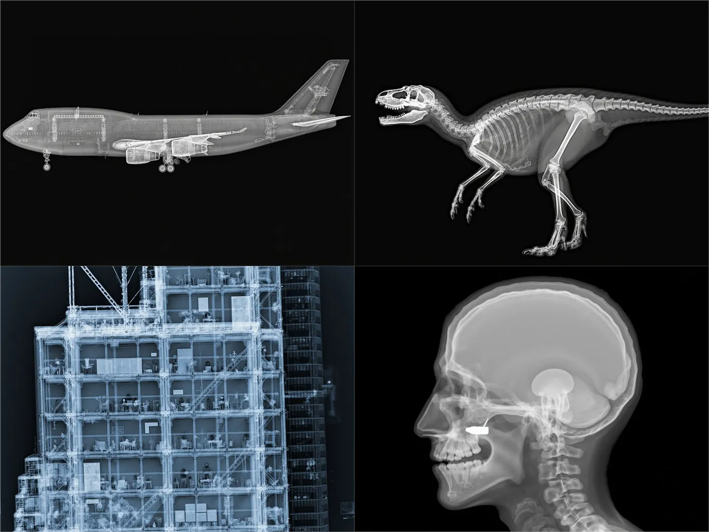 Prompt “Xray of ..“: “a Boeing 747”, “a tyrannosaurus Rex”, “a skyscraper”, “a man who was shot in the head”