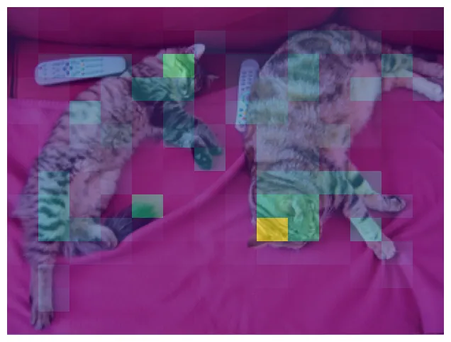 Left: input. Right: Attention matrix overlay for class token (avg. of all attention heads) of DinoV3.