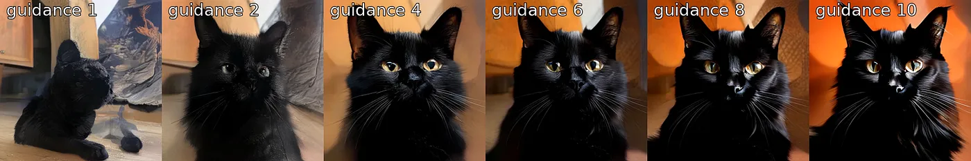“A beautiful black cat”